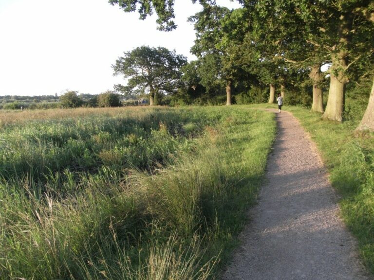 Carlton marshes walks | Holiday cottages just 10 mins away