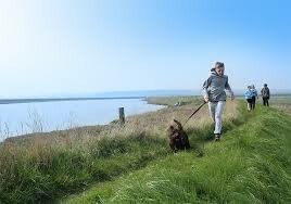 Dog walk Old Hall Southwold | self catering on the Suffolk coast