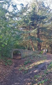 Greyfriars wood Dunwich bridge - a circular walk by Suffolk Coastal Escapes