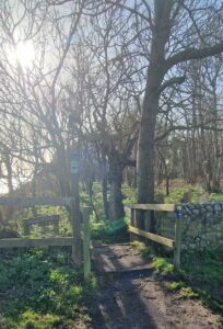 Greyfriars wood Dunwich footpath - a circular walk by Suffolk Coastal Escapes