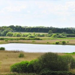 RSPB Minsmere | 17 miles from Pakefield on the Suffolk coast